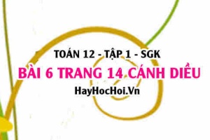 Bài 6 trang 14 Toán 12 tập 1 Cánh Diều